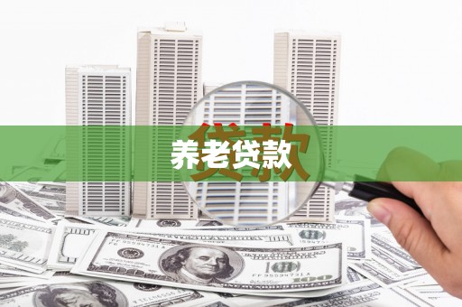 澧县养老贷款
