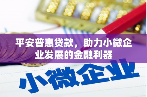 澧县平安普惠贷款，助力小微企业发展的金融利器