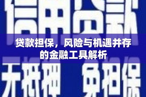 澧县贷款担保，风险与机遇并存的金融工具解析