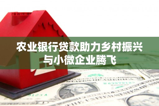 澧县农业银行贷款助力乡村振兴与小微企业腾飞