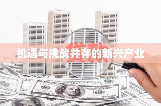 澧县机遇与挑战并存的新兴产业