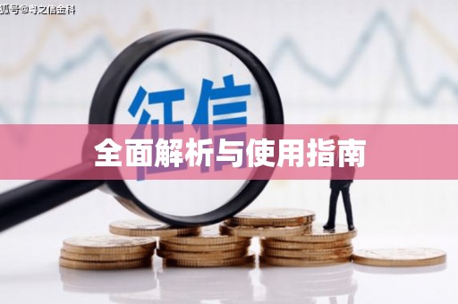 澧县全面解析与使用指南