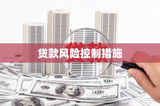 澧县贷款风险控制措施