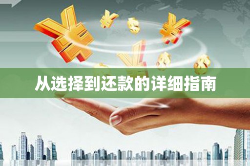 澧县从选择到还款的详细指南