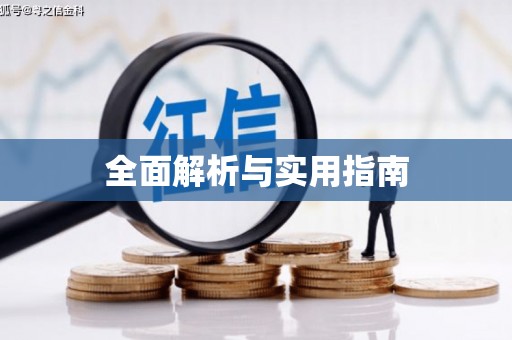 澧县全面解析与实用指南