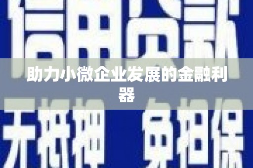 澧县助力小微企业发展的金融利器