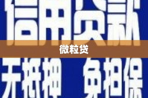 澧县微粒贷