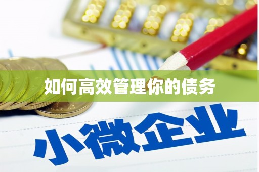 澧县如何高效管理你的债务