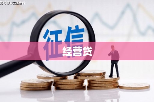 澧县经营贷