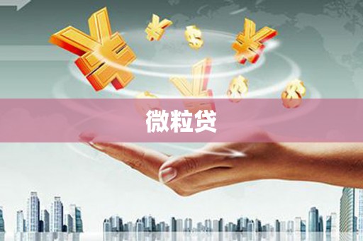 澧县微粒贷