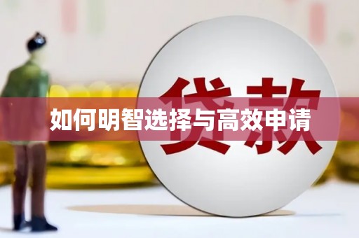 澧县如何明智选择与高效申请