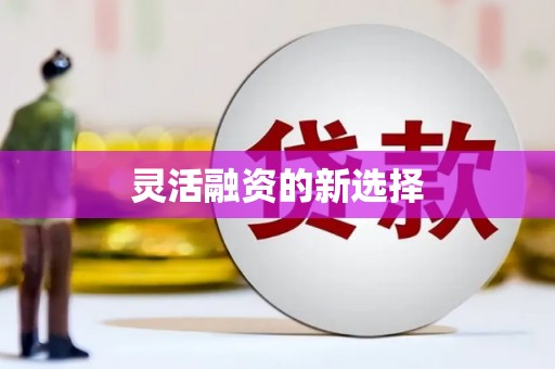 澧县灵活融资的新选择