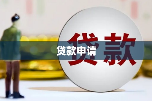 澧县贷款申请