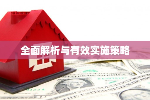 澧县全面解析与有效实施策略
