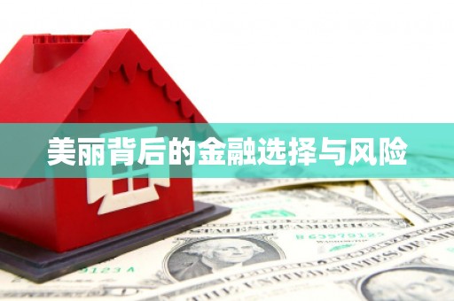 澧县美丽背后的金融选择与风险