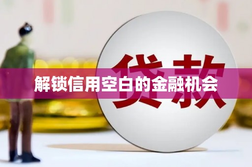 澧县解锁信用空白的金融机会