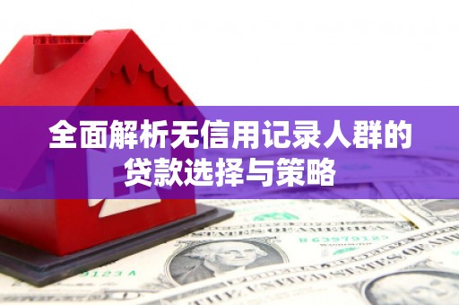澧县全面解析无信用记录人群的贷款选择与策略