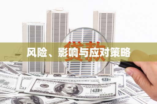 澧县风险、影响与应对策略