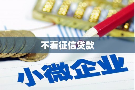 澧县不看征信贷款