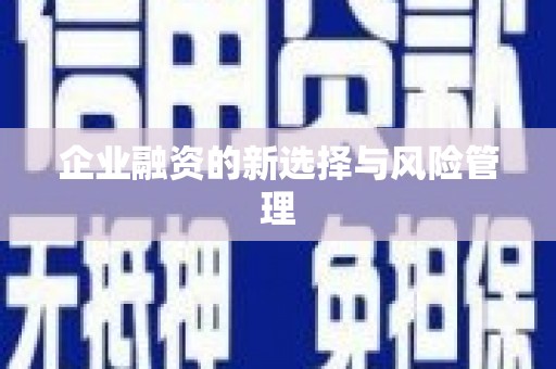 澧县企业融资的新选择与风险管理