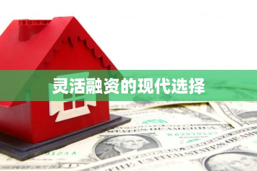 澧县灵活融资的现代选择
