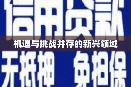 澧县机遇与挑战并存的新兴领域
