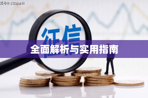 澧县全面解析与实用指南