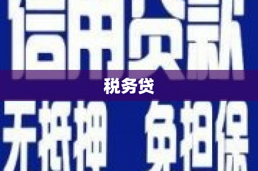 澧县税务贷