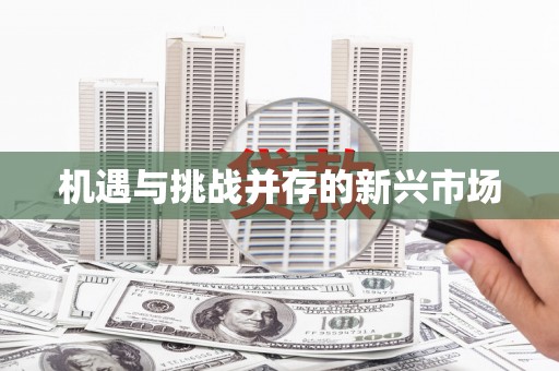 澧县机遇与挑战并存的新兴市场