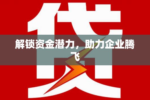 澧县解锁资金潜力，助力企业腾飞