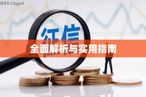 澧县全面解析与实用指南