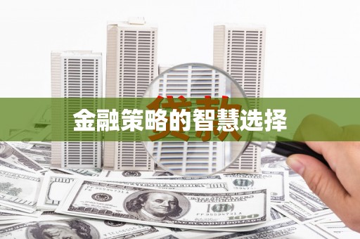 澧县金融策略的智慧选择