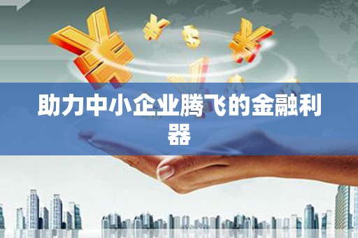 澧县助力中小企业腾飞的金融利器