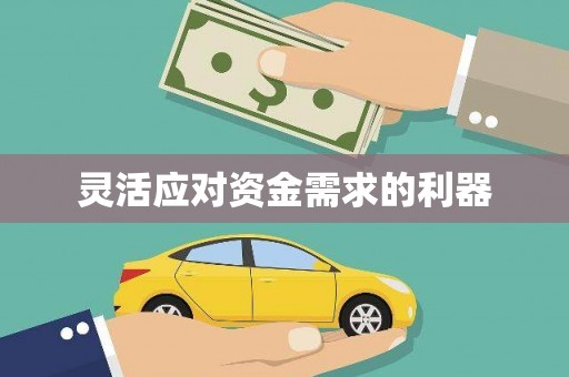 澧县灵活应对资金需求的利器