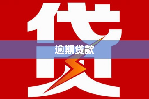 澧县逾期贷款