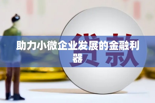 澧县助力小微企业发展的金融利器