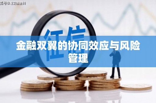 澧县金融双翼的协同效应与风险管理