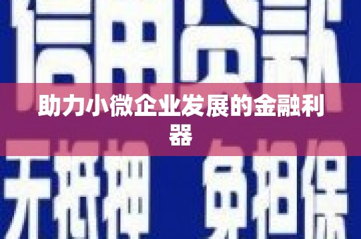 澧县助力小微企业发展的金融利器