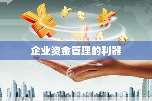 澧县企业资金管理的利器