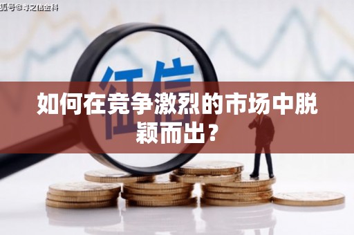 澧县如何在竞争激烈的市场中脱颖而出？
