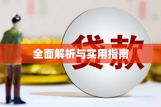 澧县全面解析与实用指南