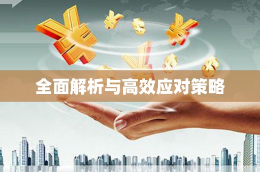 澧县全面解析与高效应对策略