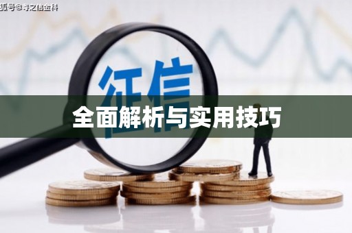 澧县全面解析与实用技巧