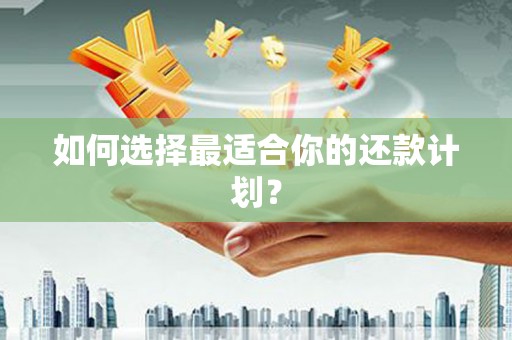 澧县如何选择最适合你的还款计划？