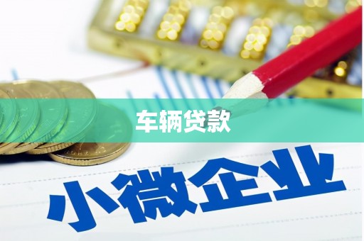 澧县车辆贷款