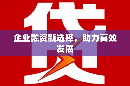 澧县企业融资新选择，助力高效发展