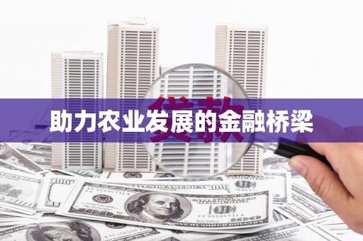 澧县助力农业发展的金融桥梁