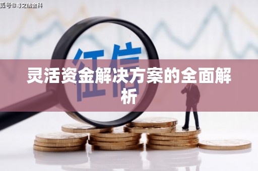 澧县灵活资金解决方案的全面解析