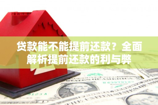 澧县贷款能不能提前还款？全面解析提前还款的利与弊