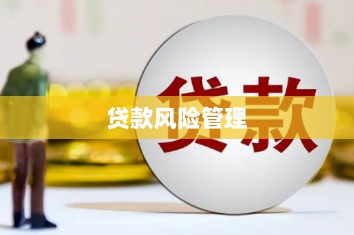 澧县贷款风险管理